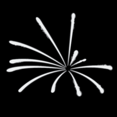 Palm